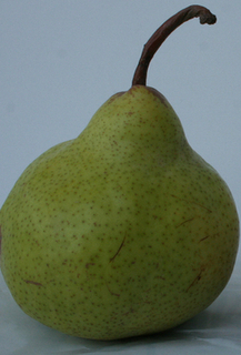 Pear - Bartlett Green